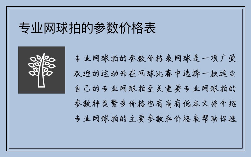 专业网球拍的参数价格表