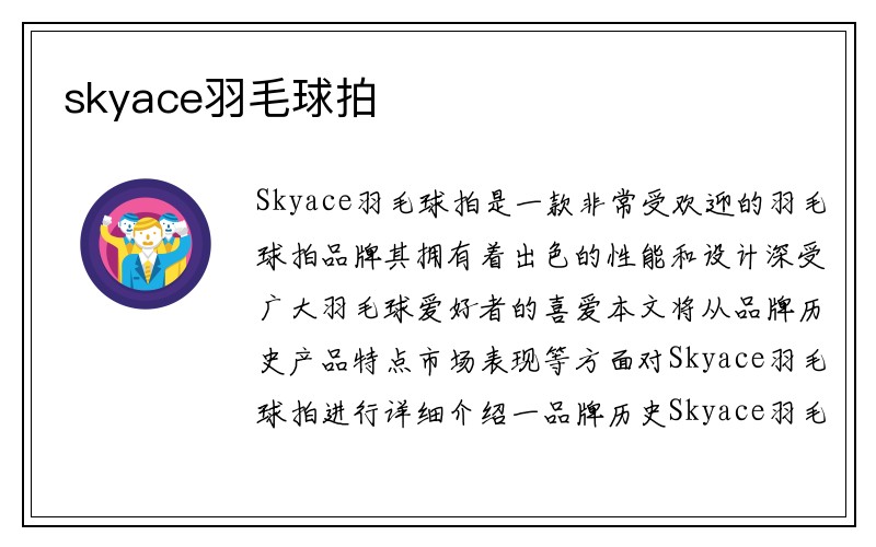 skyace羽毛球拍