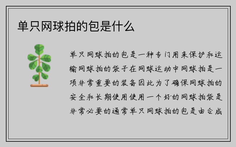 单只网球拍的包是什么