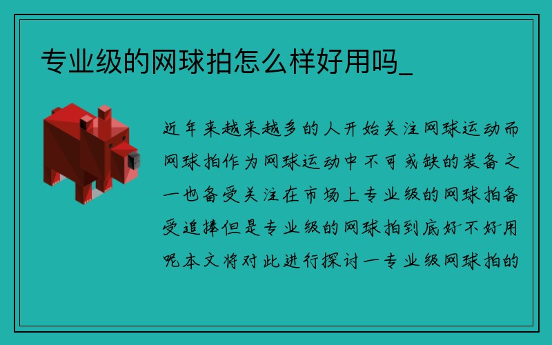 专业级的网球拍怎么样好用吗_